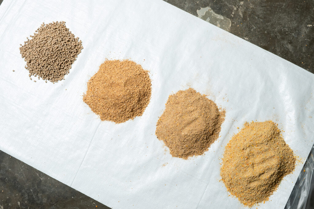 Different types of poultry feed on the floor