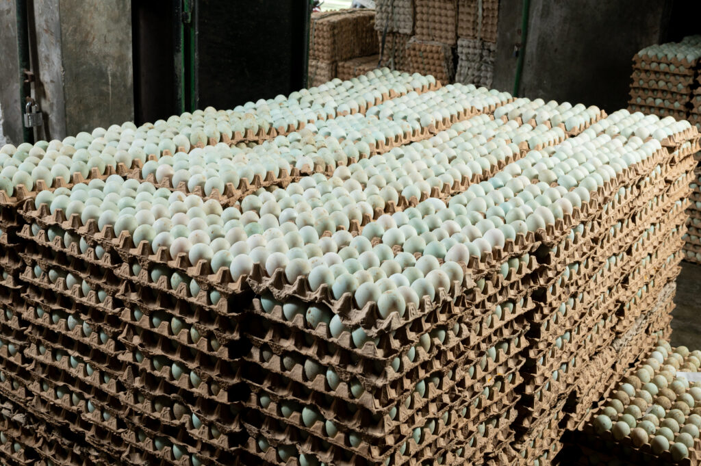 Stack of eggs in a warehouse